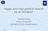 Higgs and new particle searches at Tevatron