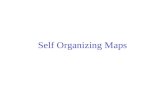 Self Organizing Maps