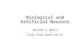 Biological and Artificial Neurons Michael J. Watts mike.watts.nz
