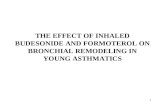 THE EFFECT OF INHALED BUDESONIDE AND FORMOTEROL ON BRONCHIAL REMODELING IN YOUNG ASTHMATICS