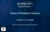 Vision & Pituitary Tumors
