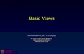 Basic Views