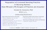 Regulation of Licensed Nursing Practice  in Nursing Homes: