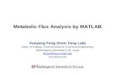 Metabolic Flux Analysis by MATLAB