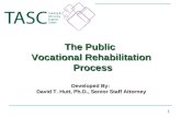 The Public  Vocational Rehabilitation  Process Developed By: