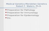Medical Genetics-Mendelian Genetics Robert F. Waters, Ph.D.