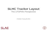 SLHC Tracker Layout