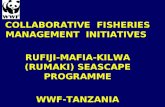 COLLABORATIVE  FISHERIES MANAGEMENT  INITIATIVES  RUFIJI-MAFIA-KILWA (RUMAKI) SEASCAPE PROGRAMME
