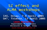 SZ effect and ALMA workshops