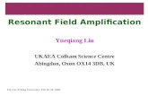 Resonant Field Amplification Yueqiang Liu UKAEA Culham Science Centre Abingdon, Oxon OX14 3DB, UK
