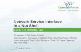 Network Service Interface in a Nut Shell