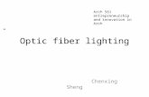 Optic fiber lighting