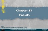 Chapter 23  Facials
