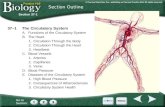 37–1The Circulatory System A.Functions of the Circulatory System B.The Heart