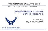 Bird/Wildlife Aircraft Strike Hazards