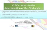 CLEO-c inputs to the determination of the CKM angle  g