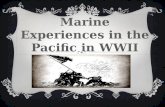 Marine Experiences in the Pacific in WWII