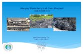 Bingay  Metallurgical Coal Project 滨盖冶金煤项目