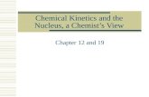 Chemical  Kinetics and the Nucleus, a Chemist’s View