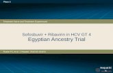 Sofosbuvir + Ribavirin i n  HCV  GT  4 Egyptian Ancestry Trial