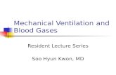 Mechanical Ventilation  and Blood Gases