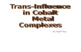 Trans-Influence  in Cobalt  Metal  Complexes