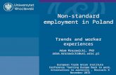 Non-standard employment in Poland  Trends and worker experiences