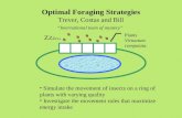 Optimal Foraging Strategies Trever, Costas and Bill “International team of mystery”