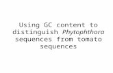 Using GC content to distinguish  Phytophthora  sequences from tomato sequences