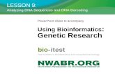 LESSON 9:  Analyzing DNA Sequences and DNA Barcoding