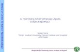 A Promising Chemotherapy Agent, Gd@C82(OH)22