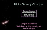 HI in Galaxy Groups