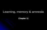 Learning, memory & amnesia