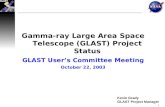 Gamma-ray Large Area Space Telescope (GLAST) Project Status GLAST User’s Committee Meeting