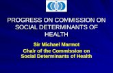 PROGRESS ON COMMISSION ON SOCIAL DETERMINANTS OF HEALTH