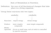 Role of Metabolism in Nutrition