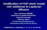 Modification of PNP-steric model with additional bi-Laplacian diffusion