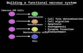 Building a functional nervous system
