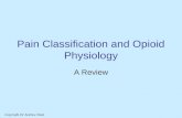 Pain Classification and Opioid Physiology