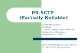 PR-SCTP  ( P artially  R eliable)