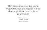 Reverse engineering gene networks using singular value decomposition and robust regression
