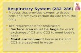 Respiratory System (282-286)