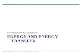 Energy and Energy transfer