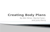 Creating Body Plans