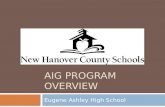 AIG Program overview