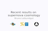 Recent results on  supernova cosmology