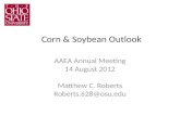 Corn & Soybean Outlook