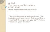 AJ York The Journey of Friendship EDUC 7545