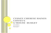 Cydney Cherese Haines Coffey's  6 month  budget