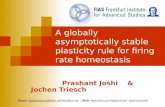 A globally asymptotically stable plasticity rule for firing rate homeostasis